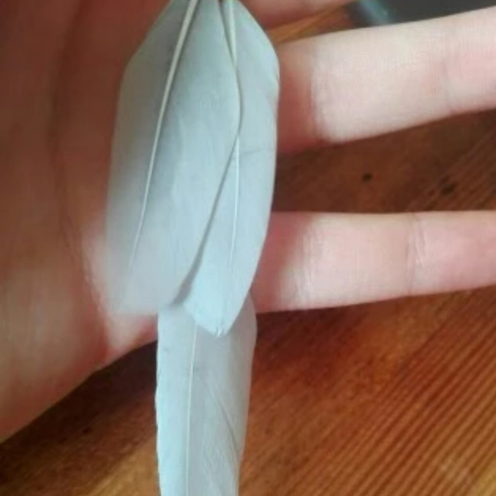 NEW!!! BOHO Feather Dangles~Baby blue green. - Picture 6 of 8